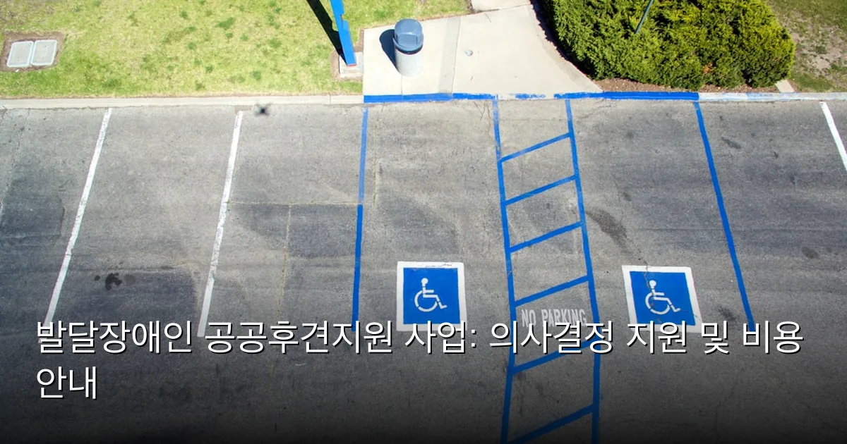 발달장애인 공공후견지원 사업: 의사결정 지원 및 비용 안내 — Photo by Robert Ruggiero on Unsplash