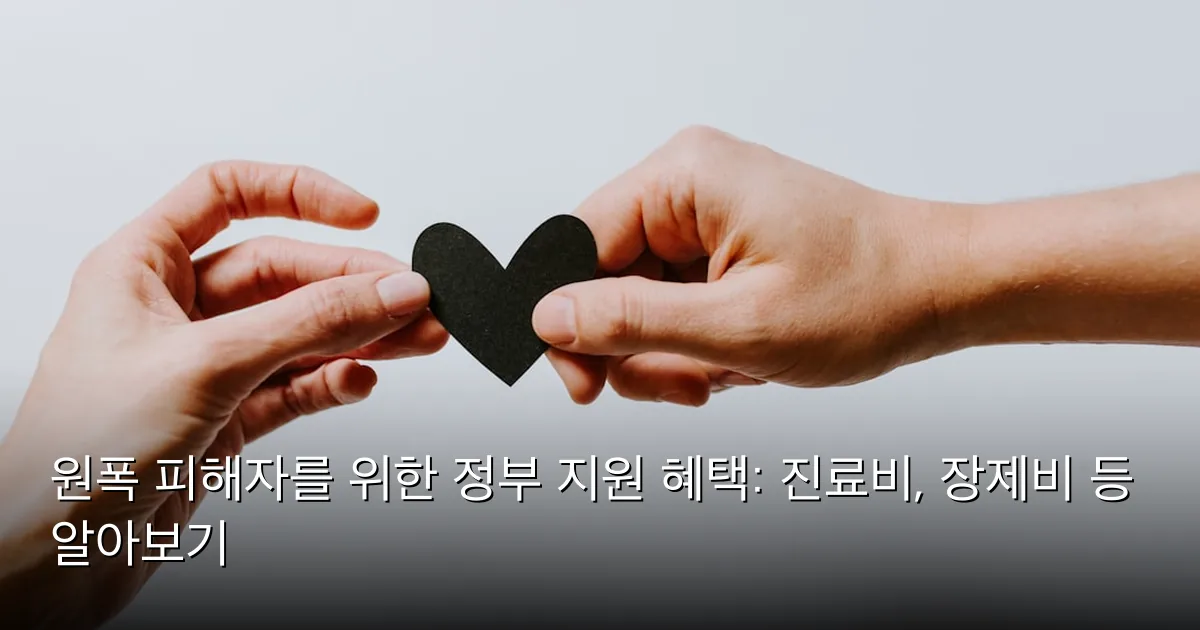 원폭 피해자를 위한 정부 지원 혜택: 진료비, 장제비 등 알아보기 — Photo by Kelly Sikkema on Unsplash