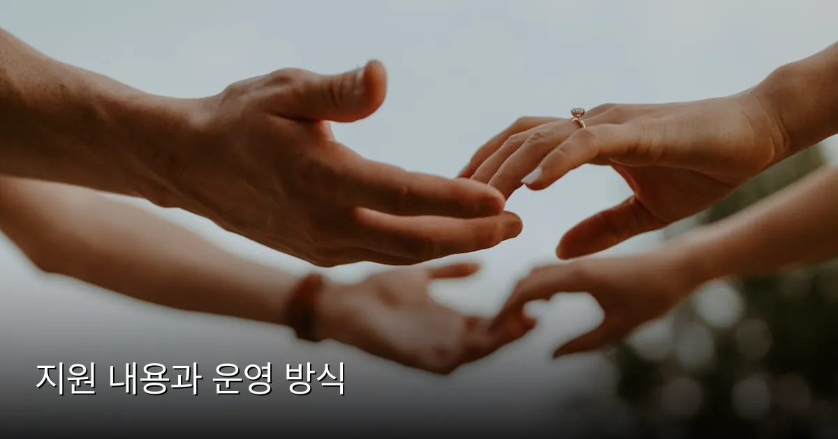 지원 내용과 운영 방식 — Photo by Hannah Busing on Unsplash