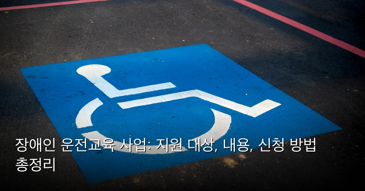 장애인 운전교육 사업: 지원 대상, 내용, 신청 방법 총정리 — Photo by AbsolutVision on Unsplash