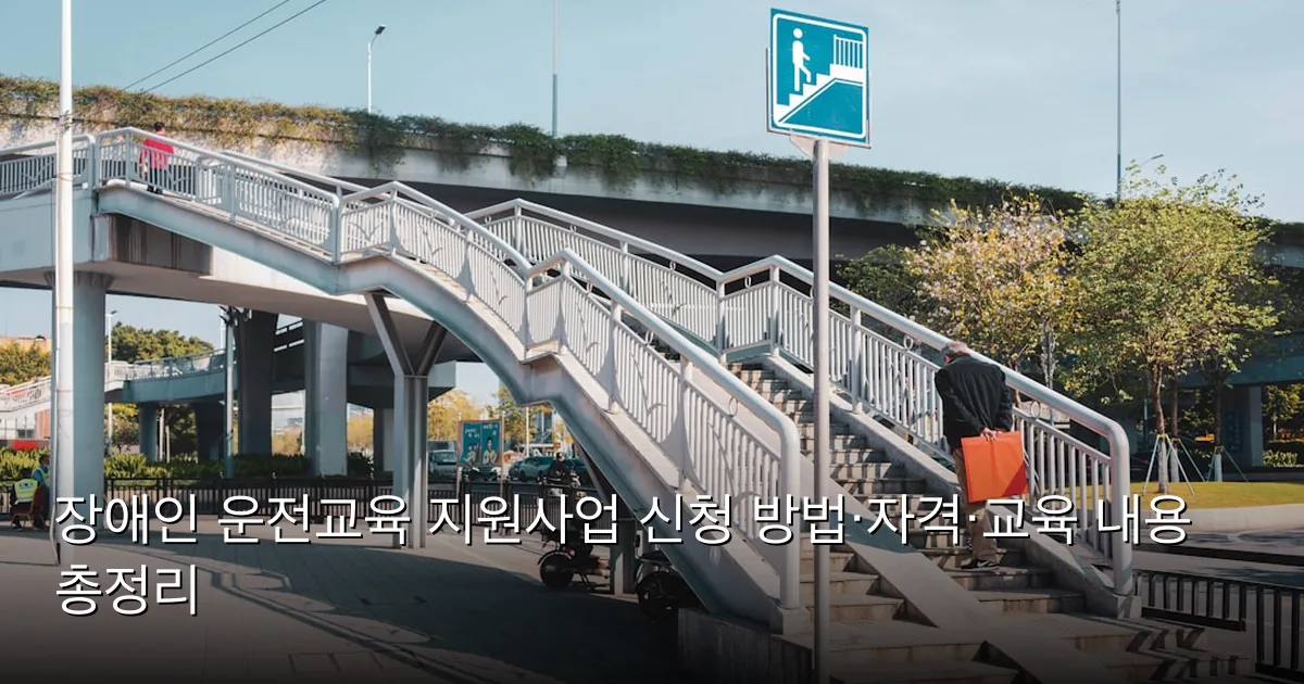 장애인 운전교육 지원사업 신청 방법·자격·교육 내용 총정리 — Photo by Max Zhang on Unsplash