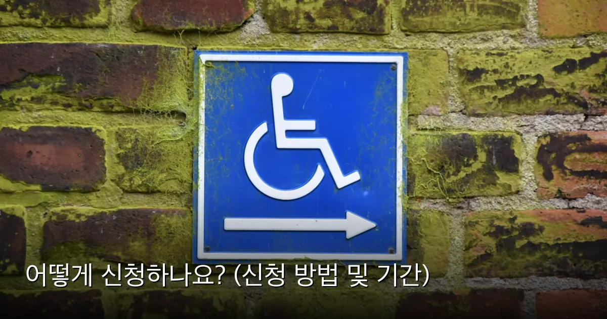 어떻게 신청하나요? (신청 방법 및 기간) — Photo by Waldemar Brandt on Unsplash