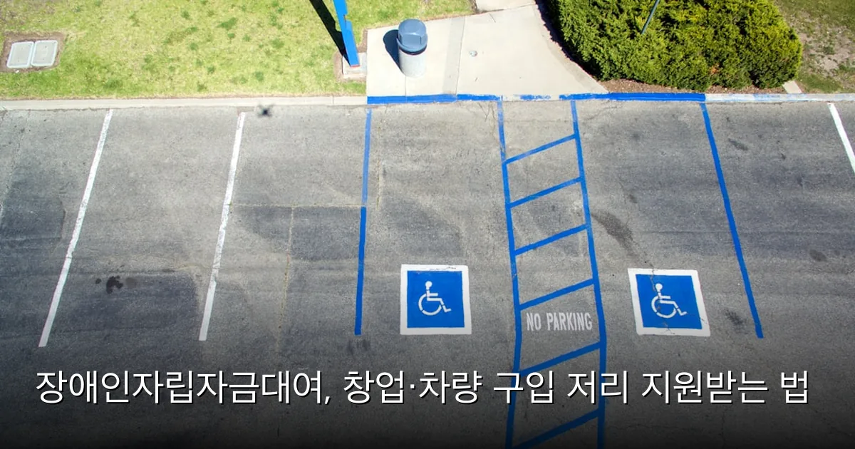 장애인자립자금대여, 창업·차량 구입 저리 지원받는 법 — Photo by Robert Ruggiero on Unsplash