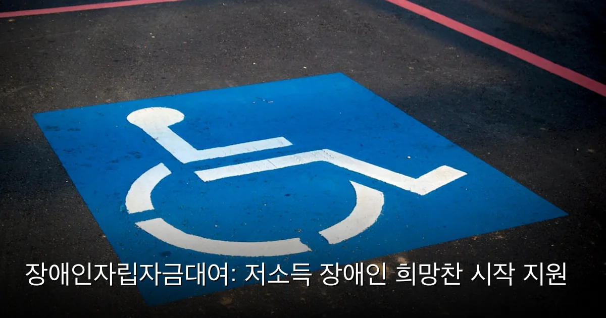 장애인자립자금대여: 저소득 장애인 희망찬 시작 지원 — Photo by AbsolutVision on Unsplash