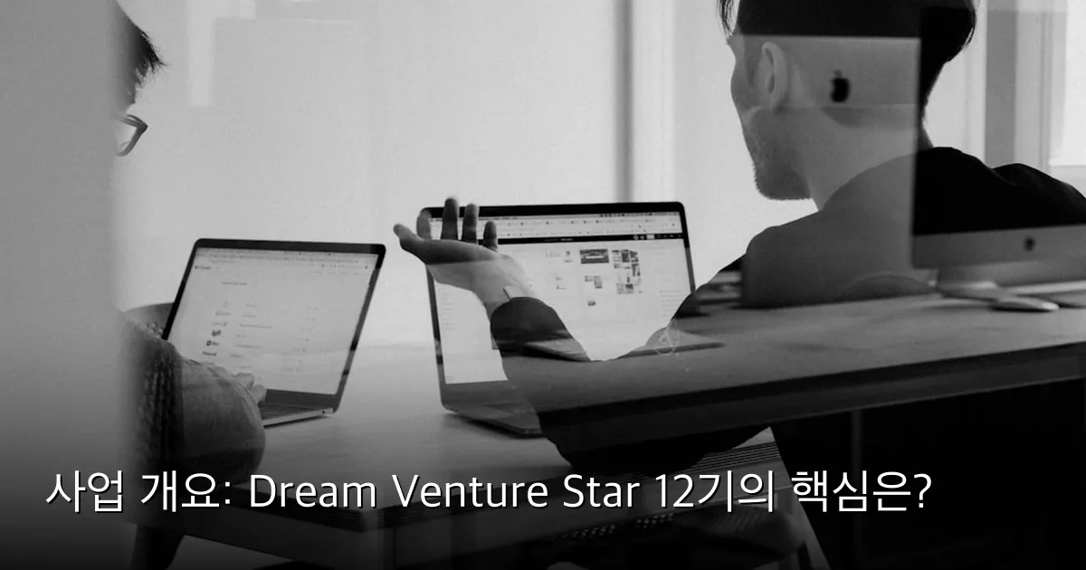 사업 개요: Dream Venture Star 12기의 핵심은? — Photo by charlesdeluvio on Unsplash
