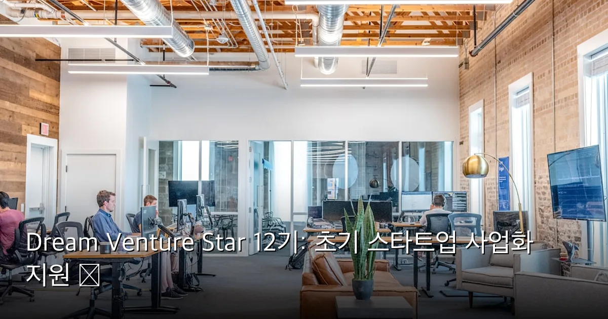 Dream Venture Star 12기: 초기 스타트업 사업화 지원 🚀 — Photo by Austin Distel on Unsplash