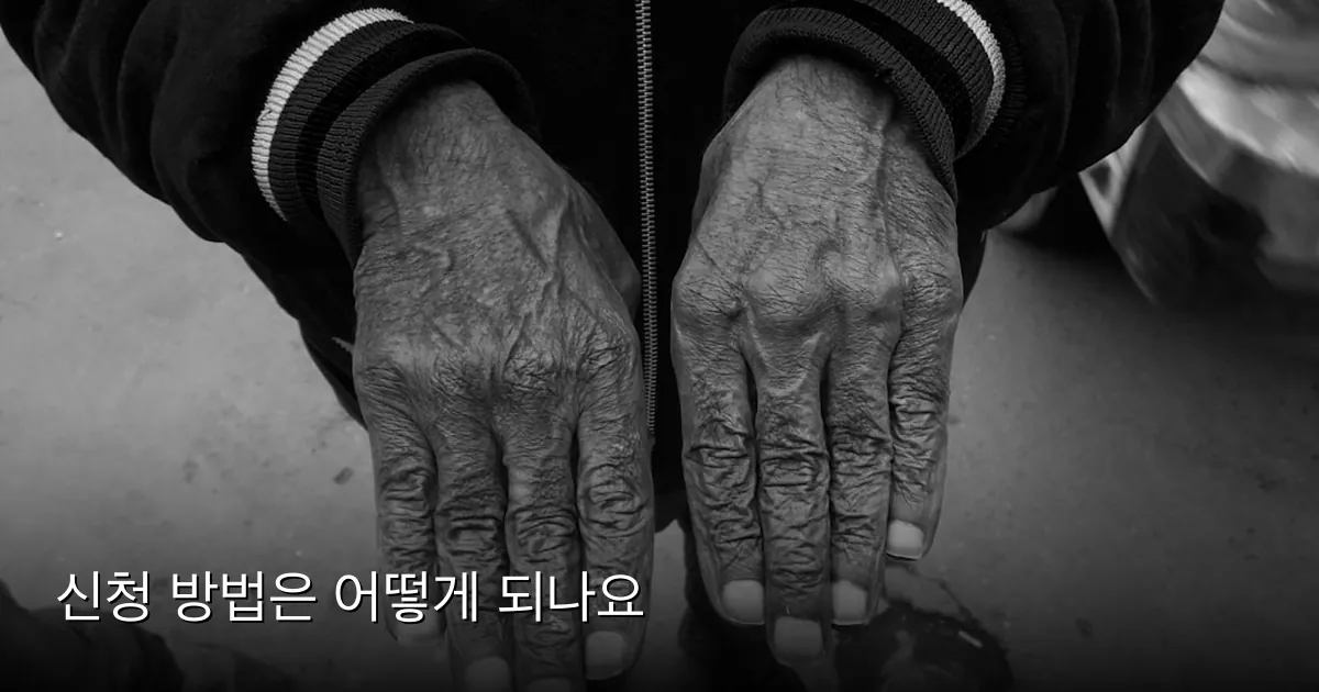 신청 방법은 어떻게 되나요 — Photo by ward rain on Unsplash
