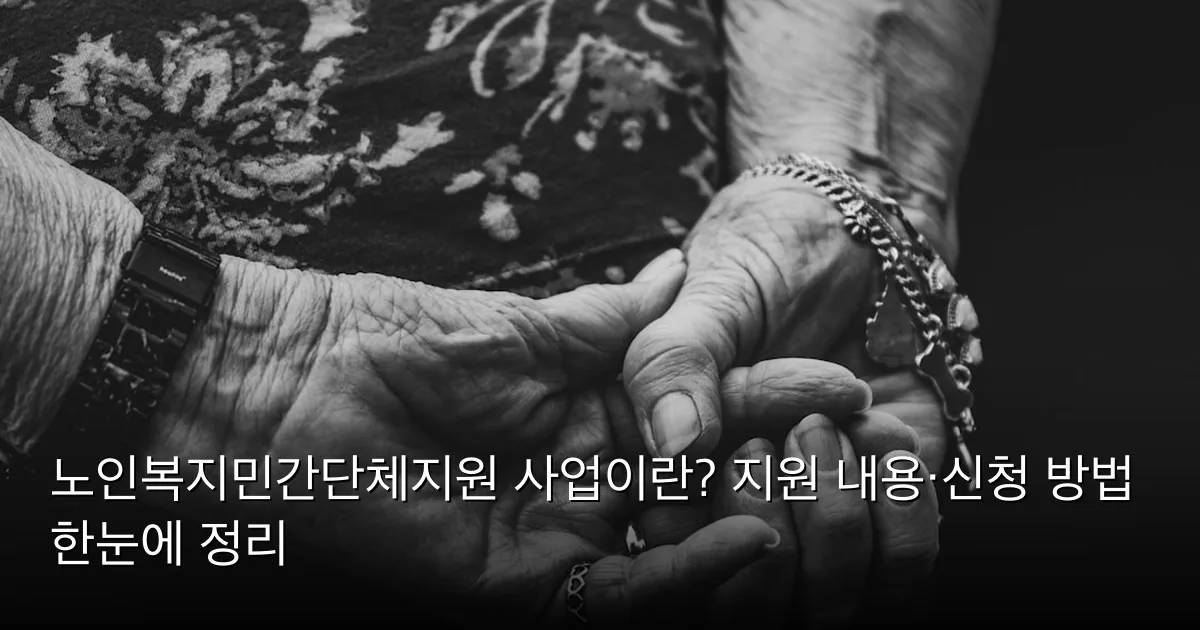 노인복지민간단체지원 사업이란? 지원 내용·신청 방법 한눈에 정리 — Photo by Jon Sailer on Unsplash
