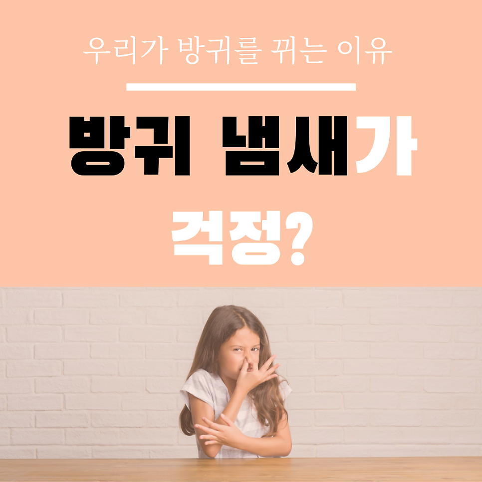 방귀 냄새 원인과 개선 방법: 식습관·장 건강 가이드
