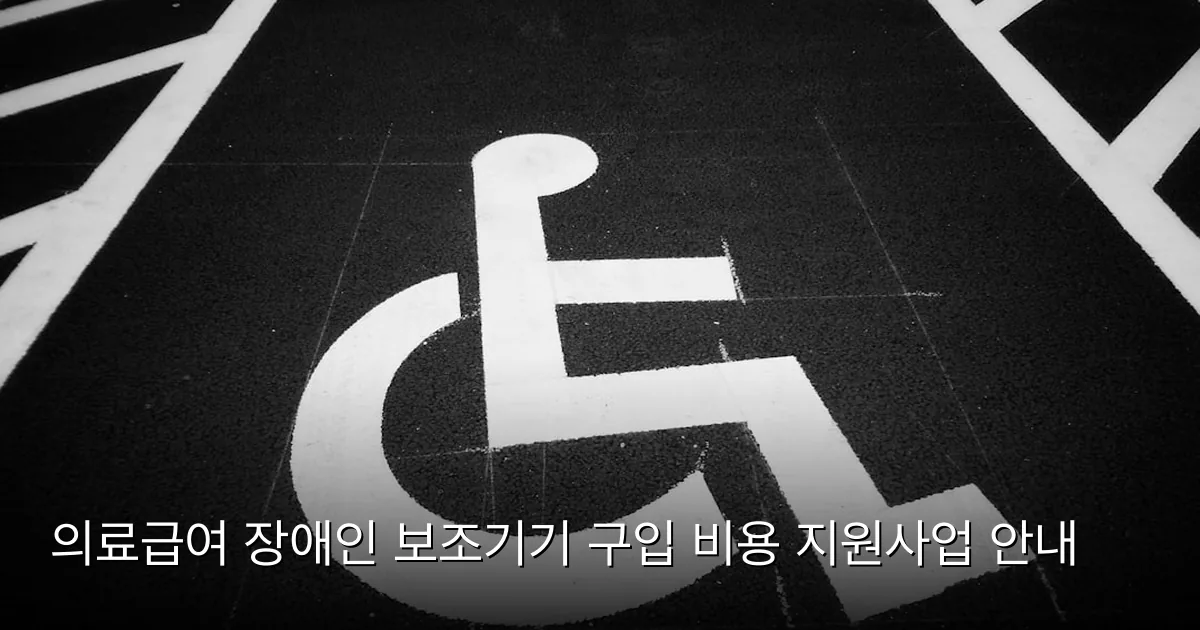 의료급여 장애인 보조기기 구입 비용 지원사업 안내 — Photo by Franck V. on Unsplash