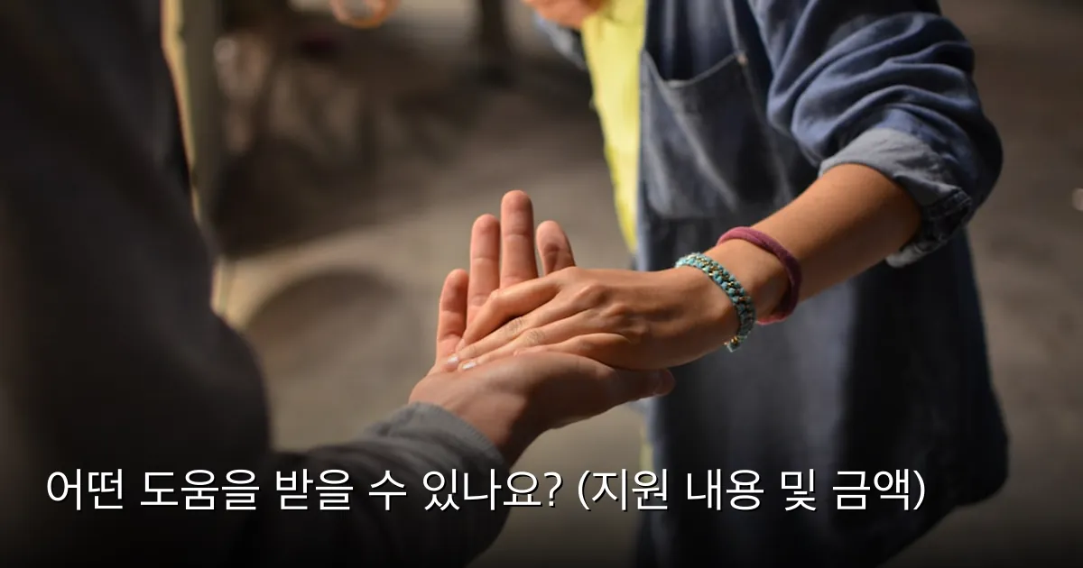 어떤 도움을 받을 수 있나요? (지원 내용 및 금액) — Photo by Rémi Walle on Unsplash
