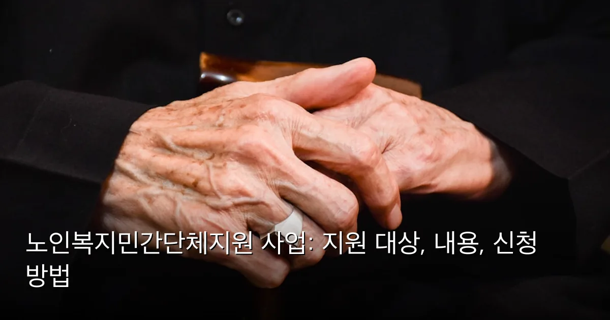 노인복지민간단체지원 사업: 지원 대상, 내용, 신청 방법 — Photo by أخٌ‌في‌الله on Unsplash