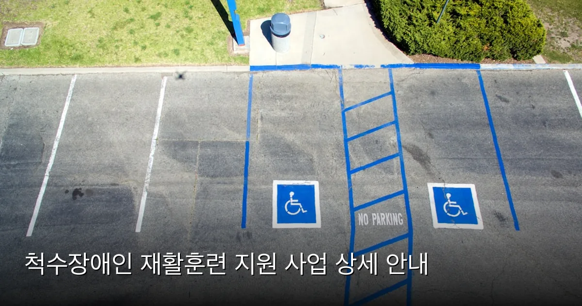 척수장애인 재활훈련 지원 사업 상세 안내 — Photo by Robert Ruggiero on Unsplash