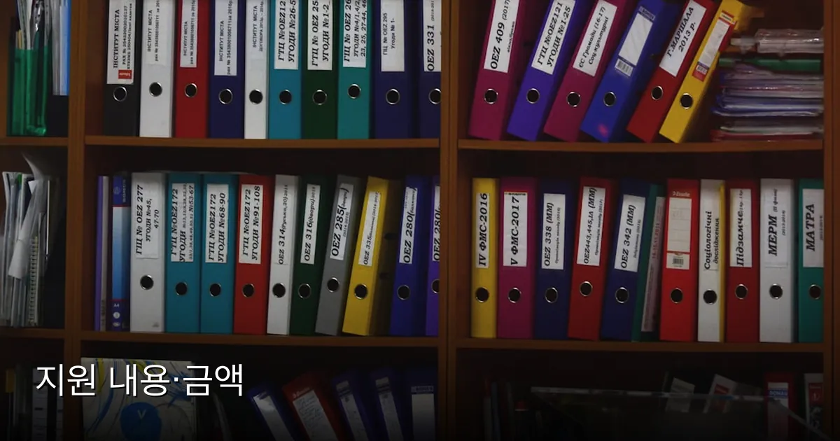 지원 내용·금액 — Photo by Viktor Talashuk on Unsplash