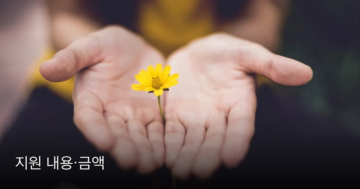 지원 내용·금액 — Photo by Lina Trochez on Unsplash