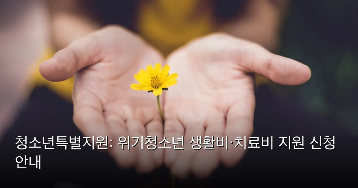 청소년특별지원: 위기청소년 생활비·치료비 지원 신청 안내 — Photo by Lina Trochez on Unsplash